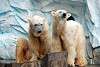 ueno_zoo_5049_mini.jpg