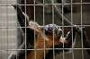 ueno_zoo_5100_mini.jpg