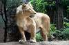 ueno_zoo_5143_mini.jpg