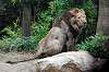 ueno_zoo_5157_mini.jpg