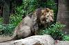 ueno_zoo_5159_mini.jpg