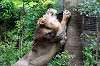 ueno_zoo_5169_mini.jpg