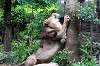 ueno_zoo_5170_mini.jpg