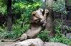 ueno_zoo_5173_mini.jpg