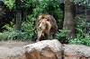 ueno_zoo_5175_mini.jpg