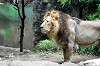 ueno_zoo_5180_mini.jpg