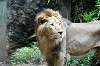 ueno_zoo_5184_mini.jpg