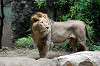 ueno_zoo_5186_mini.jpg