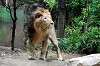 ueno_zoo_5189_mini.jpg