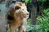 ueno_zoo_5192_mini.jpg