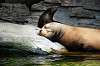 ueno_zoo_5206_mini.jpg