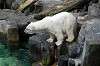 ueno_zoo_5225_mini.jpg