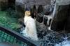 ueno_zoo_5230_mini.jpg