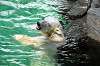 ueno_zoo_5251_mini.jpg