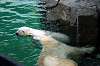 ueno_zoo_5254_mini.jpg