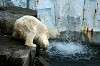 ueno_zoo_5260_mini.jpg