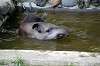 ueno_zoo_5290_mini.jpg