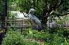 ueno_zoo_5297_mini.jpg