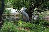 ueno_zoo_5298_mini.jpg