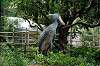 ueno_zoo_5307_mini.jpg