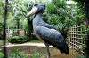 ueno_zoo_5313_mini.jpg