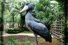 ueno_zoo_5314_mini.jpg