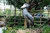 ueno_zoo_5316_mini.jpg