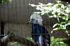 ueno_zoo_5343_mini.jpg