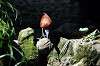 ueno_zoo_5359_mini.jpg