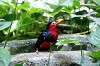 ueno_zoo_5392_mini.jpg