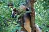 ueno_zoo_5398_mini.jpg