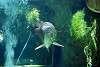 ueno_zoo_5408_mini.jpg