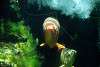 ueno_zoo_5411_mini.jpg