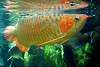 ueno_zoo_5414_mini.jpg