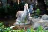 ueno_zoo_5492_mini.jpg