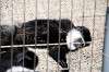 ueno_zoo_5550_mini.jpg