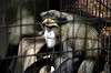 ueno_zoo_5555_mini.jpg