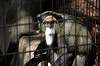 ueno_zoo_5557_mini.jpg