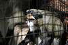 ueno_zoo_5558_mini.jpg