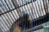 ueno_zoo_5588_mini.jpg