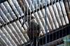 ueno_zoo_5592_mini.jpg