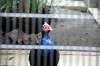 ueno_zoo_5651_mini.jpg