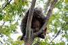 ueno_zoo_5670_mini.jpg