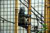 ueno_zoo_5695_mini.jpg