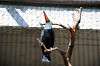 ueno_zoo_5715_mini.jpg