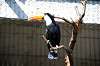 ueno_zoo_5731_mini.jpg