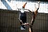 ueno_zoo_5735_mini.jpg