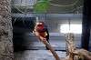 ueno_zoo_5746_mini.jpg