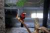 ueno_zoo_5749_mini.jpg