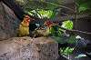 ueno_zoo_5750_mini.jpg